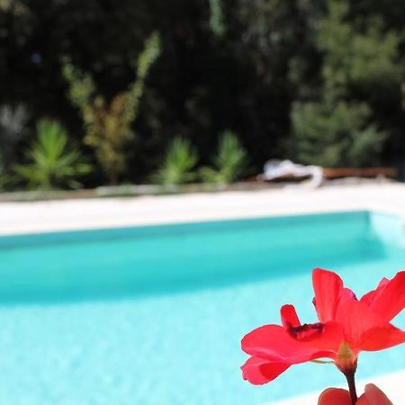 Bosque Dos Amieiros Villa Marco de Canavezes Eksteriør billede