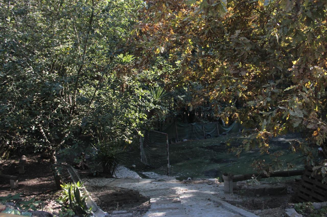Bosque Dos Amieiros Villa Marco de Canavezes Eksteriør billede