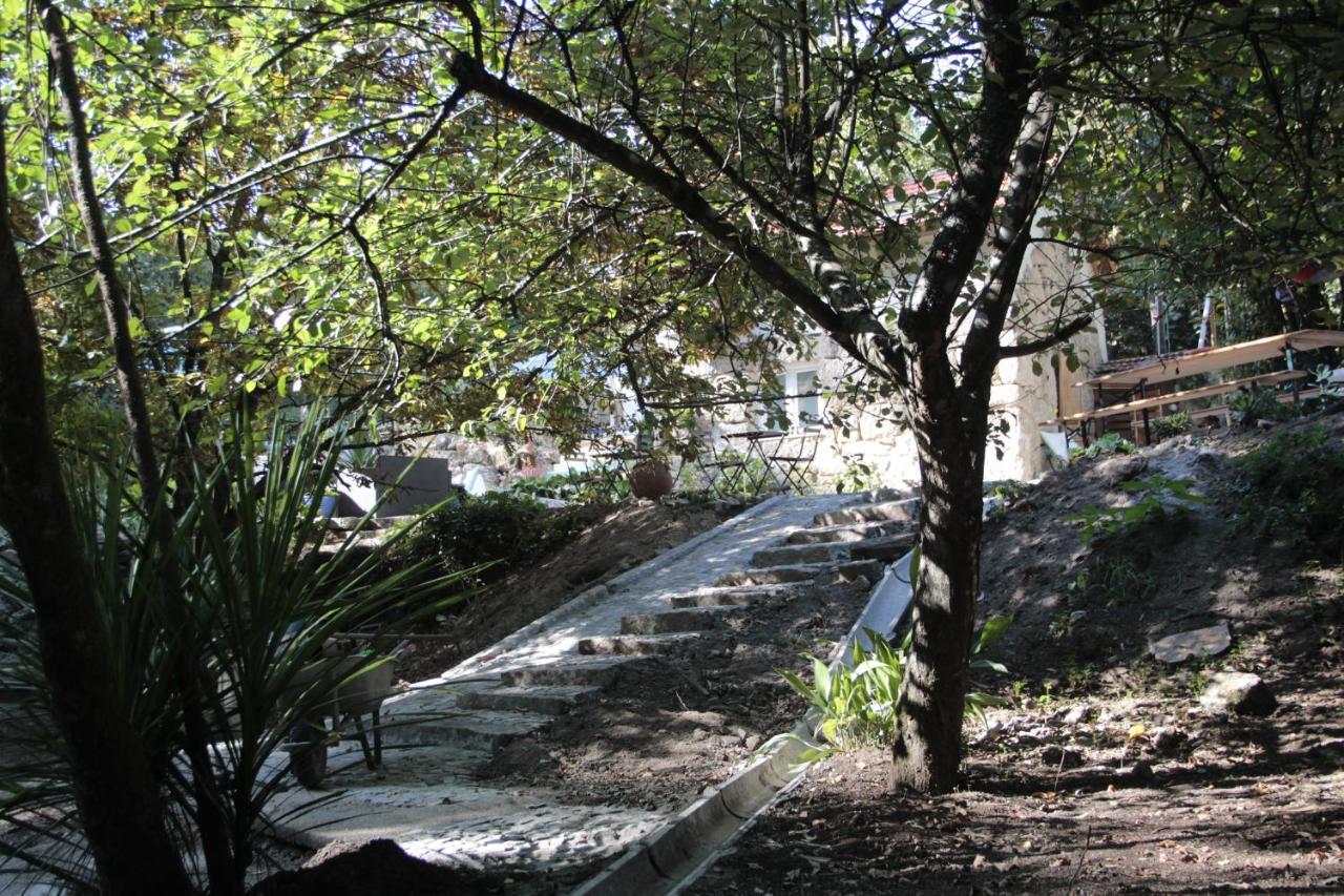 Bosque Dos Amieiros Villa Marco de Canavezes Eksteriør billede